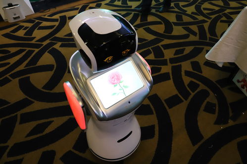 順應時代，點燃夢想 騰瑪人工智能新品發布會暨開業盛典